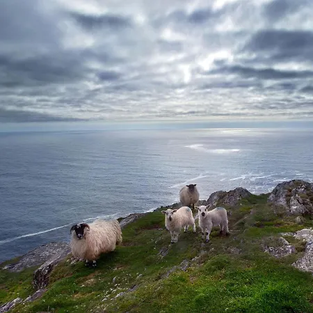 Casa de Férias Sea View Sheeps Headbantry